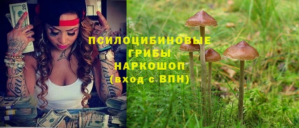 хмурый Протвино