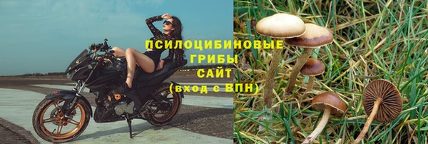 хмурый Протвино