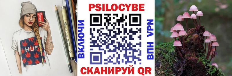 купить   Новошахтинск  Галлюциногенные грибы мицелий 