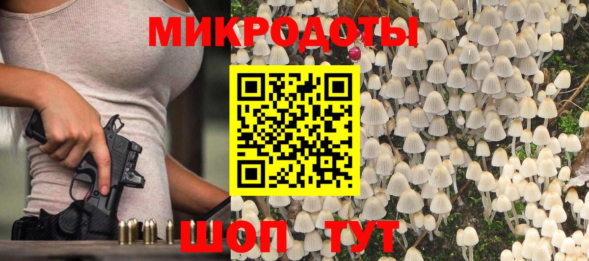 Галлюциногенные грибы Psilocybe  Вход с VPN  Новошахтинск 